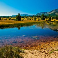 Мы пришли сюда Сиять!