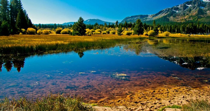 Nuotrauka: Мы пришли сюда Сиять!