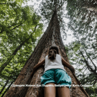 Доверие Жизни: Как Поднять Вибрации и Жить Сердцем