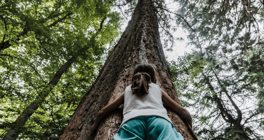 Nuotrauka: Доверие Жизни: Как Поднять Вибрации и Жить Сердцем