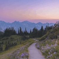 Не советовать из прошлого, а из настоящего