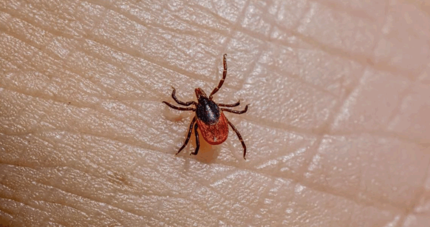 Nuotrauka: Это долгая история: универсальный ответ на бестактные вопросы