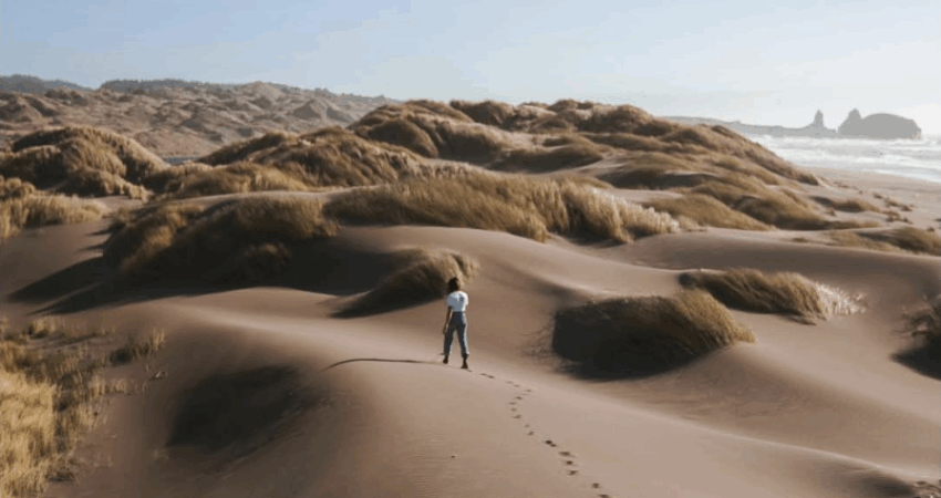 Nuotrauka: КОГДА НЕ ЗНАЕШЬ, ЧТО ДЕЛАТЬ