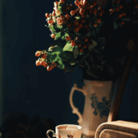 20 минут, которые меняют всё