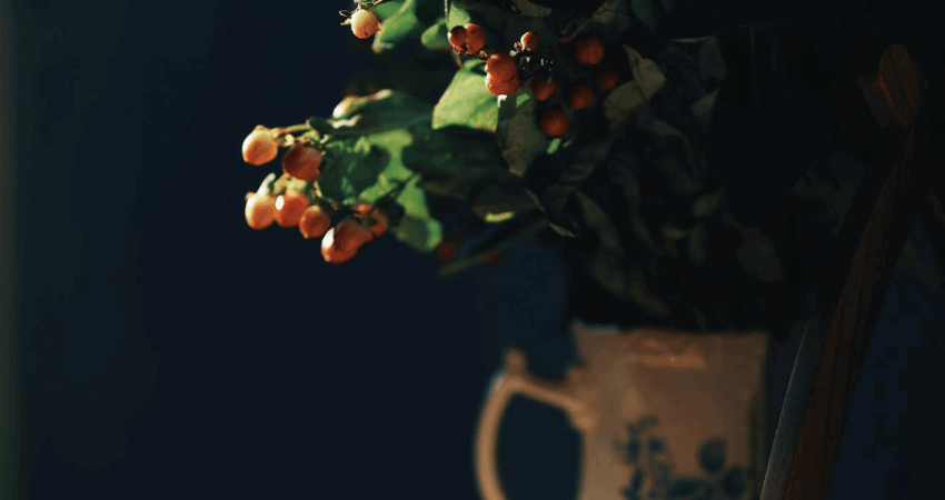 Nuotrauka: 20 минут, которые меняют всё