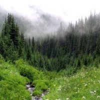 Полнота человеческой жизни
